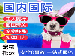沈阳桃仙航空空运国际宠物托运 【国